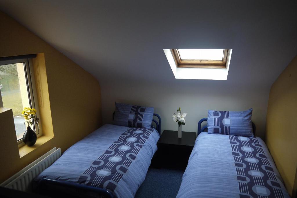 The Connemara Hostel - Sleepzone ลีนอน ห้อง รูปภาพ
